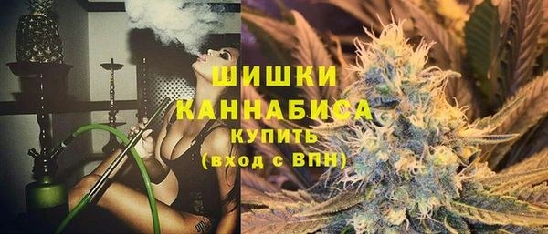 гидропоника Гусь-Хрустальный