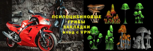 гидропоника Гусь-Хрустальный