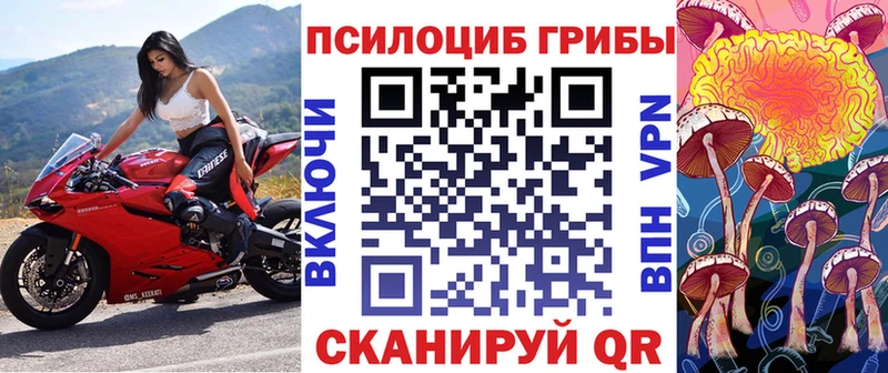Псилоцибиновые грибы Psilocybe  где купить наркоту  Дальнереченск 