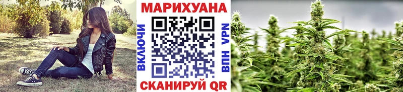 купить наркоту  Дальнереченск  Конопля White Widow 